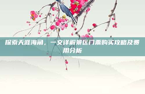 探索天涯海角，一文详解景区门票购买攻略及费用分析