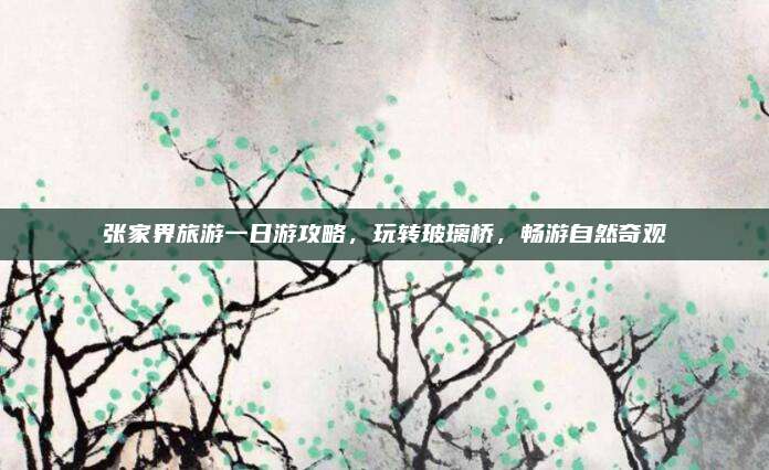 张家界旅游一日游攻略，玩转玻璃桥，畅游自然奇观