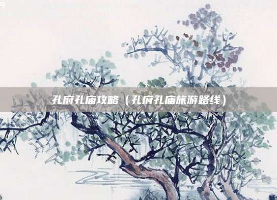 孔府孔庙攻略（孔府孔庙旅游路线）