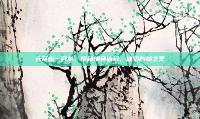 大茅山一日游，探秘绿色仙境，体验自然之美