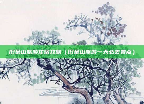 旧金山旅游住宿攻略(旧金山旅游一天必去景点)