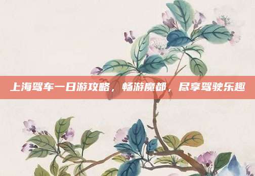 上海驾车一日游攻略，畅游魔都，尽享驾驶乐趣