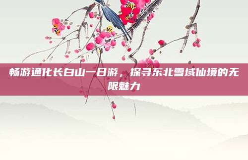 畅游通化长白山一日游，探寻东北雪域仙境的无限魅力