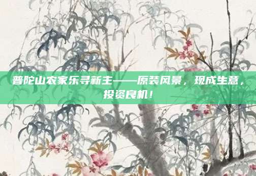 普陀山农家乐寻新主——原装风景,现成生意,投资良机!