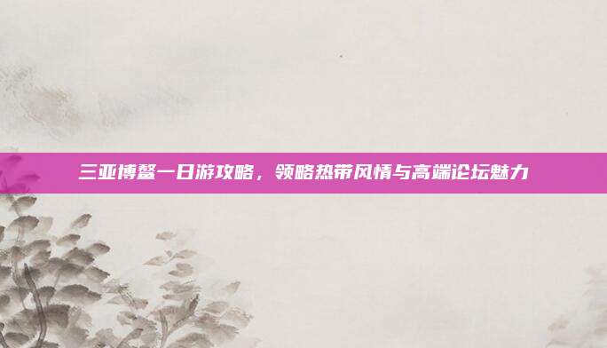 三亚博鳌一日游攻略,领略热带风情与高端论坛魅力