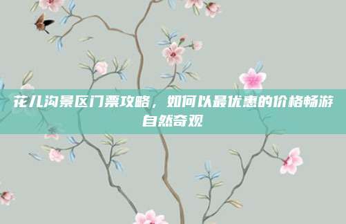 花儿沟景区门票攻略,如何以最优惠的价格畅游自然奇观