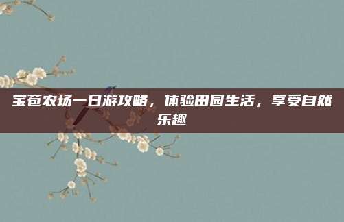 宝苞农场一日游攻略,体验田园生活,享受自然乐趣