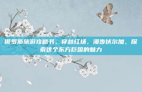 俄罗斯旅游攻略书,穿越红场,漫步伏尔加,探索这个东方巨国的魅力