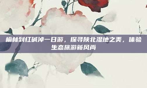榆林到红碱淖一日游，探寻陕北湿地之美，体验生态旅游新风尚