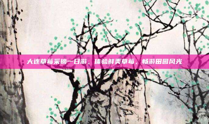 大连草莓采摘一日游,体验鲜美草莓,畅游田园风光