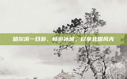 哈尔滨一日游,畅游冰城,尽享北国风光
