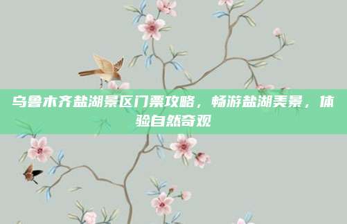 乌鲁木齐盐湖景区门票攻略，畅游盐湖美景，体验自然奇观
