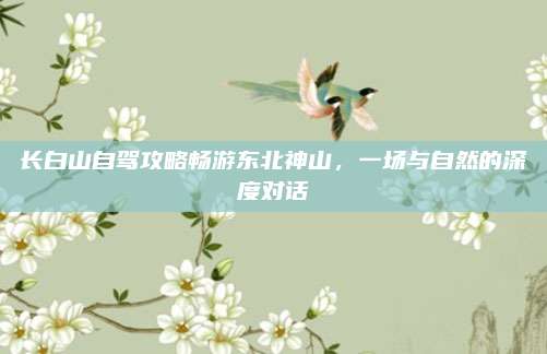 长白山自驾攻略畅游东北神山,一场与自然的深度对话