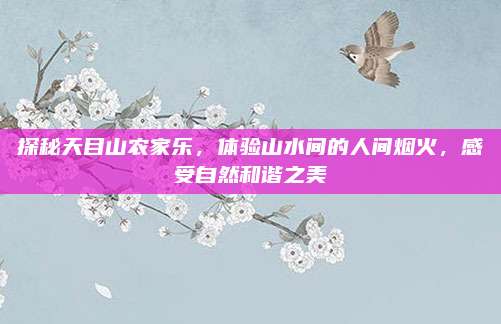 探秘天目山农家乐,体验山水间的人间烟火,感受自然和谐之美