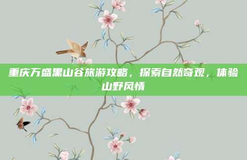 重庆万盛黑山谷旅游攻略，探索自然奇观，体验山野风情