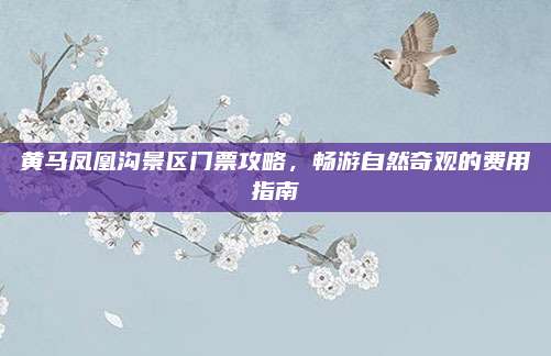 黄马凤凰沟景区门票攻略，畅游自然奇观的费用指南