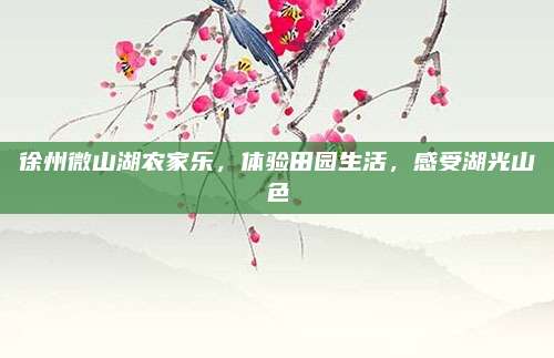徐州微山湖农家乐,体验田园生活,感受湖光山色
