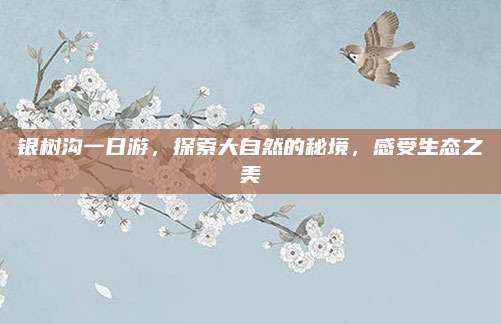 银树沟一日游,探索大自然的秘境,感受生态之美