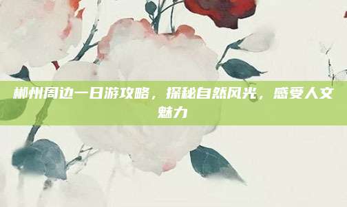 郴州周边一日游攻略,探秘自然风光,感受人文魅力