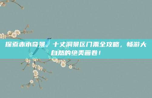 探索赤水奇景,十丈洞景区门票全攻略,畅游大自然的绝美画卷!