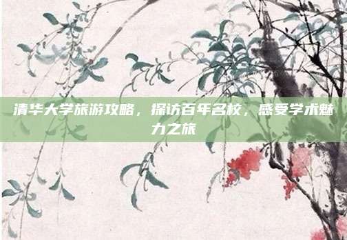 清华大学旅游攻略,探访百年名校,感受学术魅力之旅