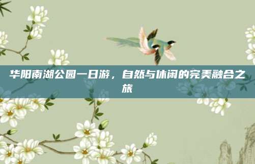 华阳南湖公园一日游，自然与休闲的完美融合之旅
