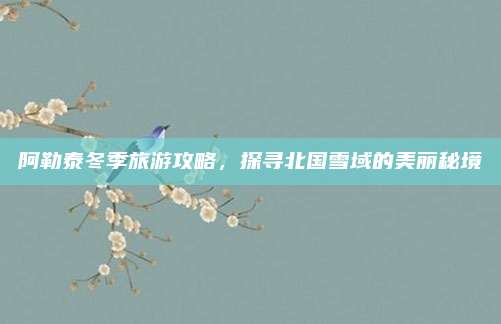 阿勒泰冬季旅游攻略,探寻北国雪域的美丽秘境