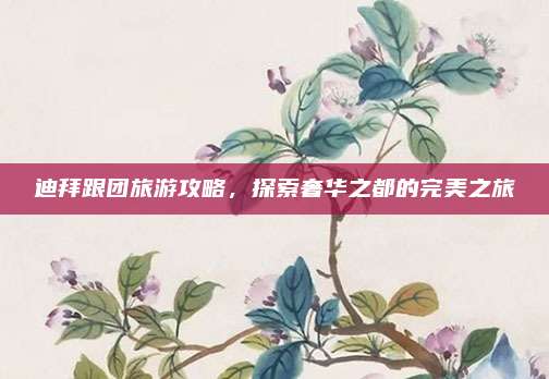 迪拜跟团旅游攻略，探索奢华之都的完美之旅