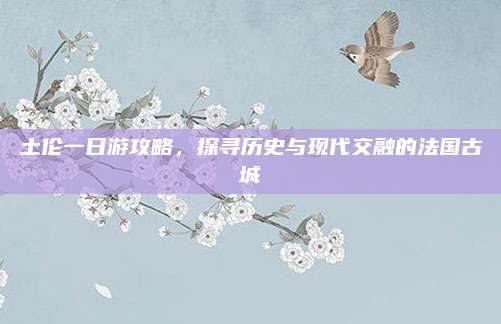 土伦一日游攻略,探寻历史与现代交融的法国古城
