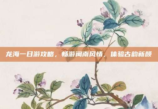 龙海一日游攻略,畅游闽南风情,体验古韵新颜