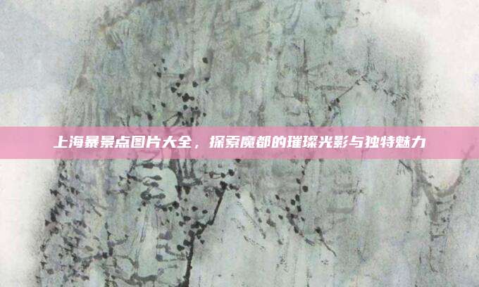 上海暴景点图片大全,探索魔都的璀璨光影与独特魅力