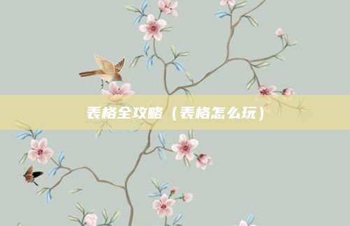 表格全攻略（表格怎么玩）