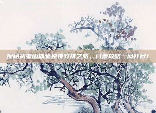 探秘武夷山体验独特竹排之旅,门票攻略一网打尽!