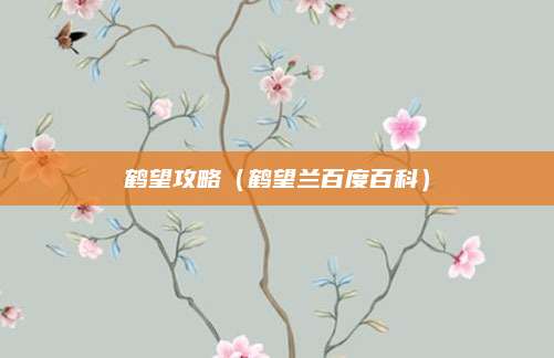 鹤望攻略（鹤望兰百度百科）