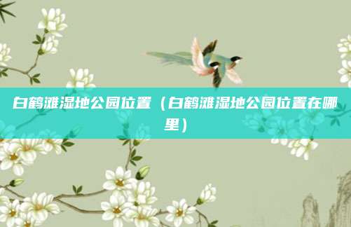 白鹤滩湿地公园位置（白鹤滩湿地公园位置在哪里）