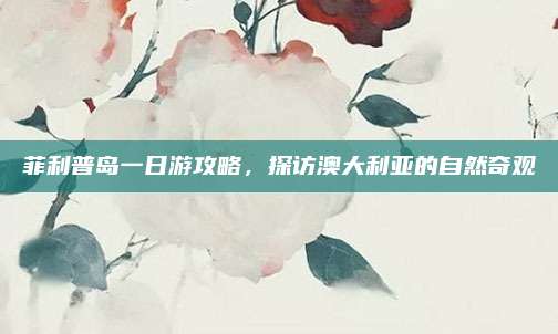 菲利普岛一日游攻略，探访澳大利亚的自然奇观