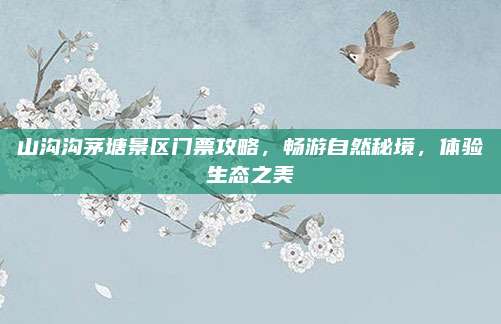 山沟沟茅塘景区门票攻略，畅游自然秘境，体验生态之美