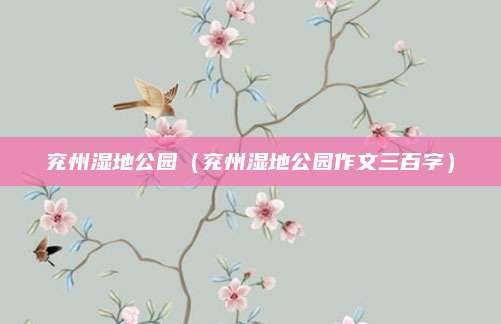 兖州湿地公园(兖州湿地公园作文三百字)