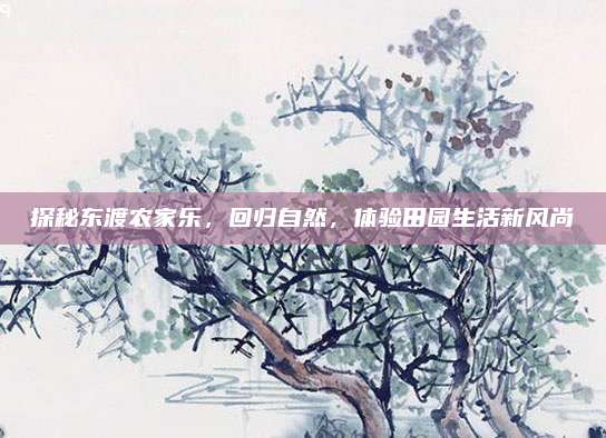 探秘东渡农家乐,回归自然,体验田园生活新风尚