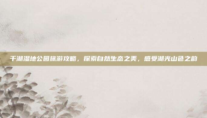 千湖湿地公园旅游攻略,探索自然生态之美,感受湖光山色之韵