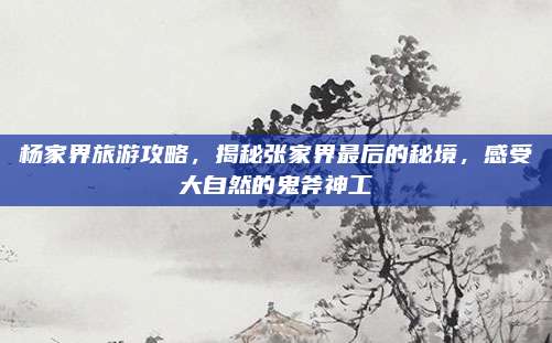 杨家界旅游攻略,揭秘张家界最后的秘境,感受大自然的鬼斧神工