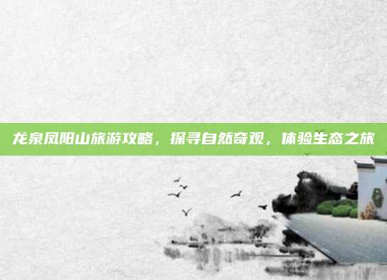 龙泉凤阳山旅游攻略,探寻自然奇观,体验生态之旅