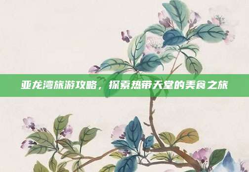 亚龙湾旅游攻略，探索热带天堂的美食之旅