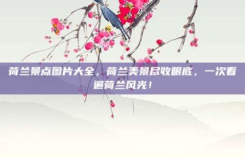 荷兰景点图片大全,荷兰美景尽收眼底,一次看遍荷兰风光!