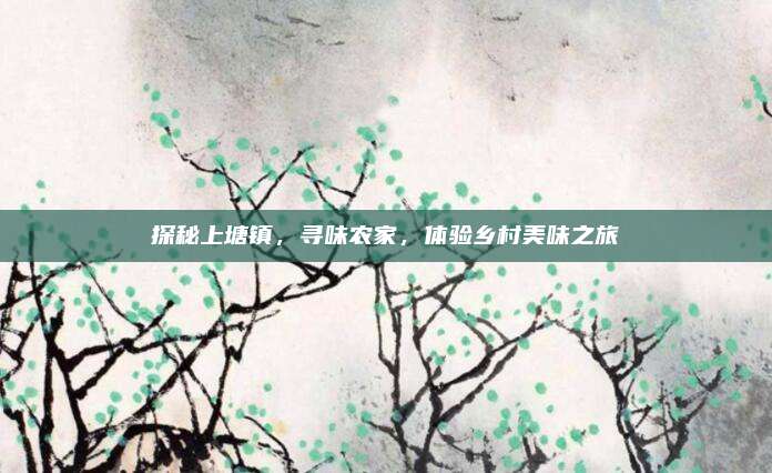 探秘上塘镇，寻味农家，体验乡村美味之旅