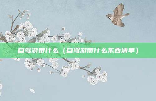 自驾游带什么（自驾游带什么东西清单）