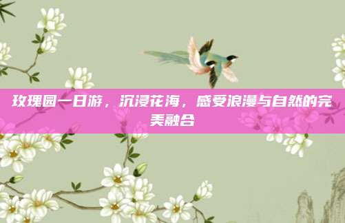 玫瑰园一日游,沉浸花海,感受浪漫与自然的完美融合