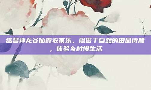 遂昌神龙谷仙霞农家乐，隐匿于自然的田园诗篇，体验乡村慢生活