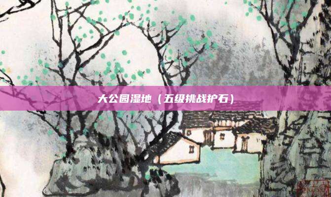 大公园湿地（五级挑战护石）