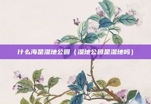 什么海是湿地公园（湿地公园是湿地吗）